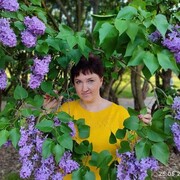  ,   , 42 ,   c 