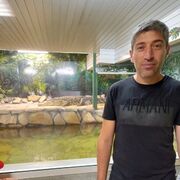 ���������� �����, ���� ������� ���, 44 ����, ������������ ��� ������, ����� � ���������