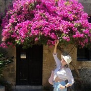 ���������� ����, ���� ������� Svetomyra, 40 ���, ������������ ��� ������, ����� � ���������