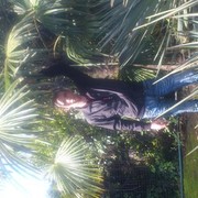  ,   , 41 ,   ,   , c , 