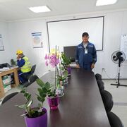 ���������� �����-���������, ���� ������� �����, 54 ����, ������������ ��� ������, ����� � ���������