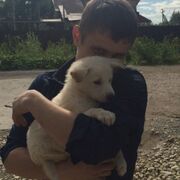 ���������� �����-���������, ���� ������� Konstantin, 39 ���, ������������ ��� ������, ����� � ���������