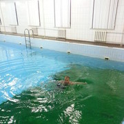 ���������� ������, ���� ������� ����, 43 ����, ������������ ��� ������, ����� � ���������, c�������� ���������