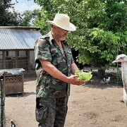  Bernau,   Wlad, 66 ,  