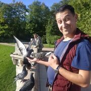  ,   , 29 ,   ,   