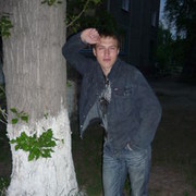  Gibbon,  Serp, 41