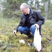 ���������� ������������, ���� ������� ����, 71 ���, ������������ ��� c�������� ���������