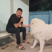  ,   , 40 ,  