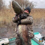 ���������� ������, ���� ������� ��������, 42 ����, ������������ ��� ������, ����� � ���������