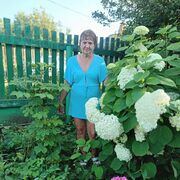 ���������� �����������, ���� ������� ������, 63 ����, ������������ ��� c�������� ���������