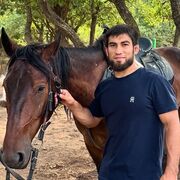 ���������� �����������, ���� ������� Bars mm, 33 ����, ������������ ��� ������, ����� � ���������, c�������� ���������, ���������