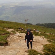  Suedinenie,   , 64 ,   ,   , c 
