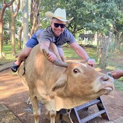 ���������� �����������, ���� ������� �������, 37 ���, ������������ ��� ������, ����� � ���������, c�������� ���������, ���������