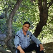  ,   , 61 ,  