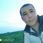 ���������� �������, ���� ������� HODJA, 41 ���, ������������ ��� ������, ����� � ���������, c�������� ���������