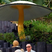 ���������� �����������, ���� ������� ������, 61 ���, ������������ ��� ������, ����� � ���������, c�������� ���������