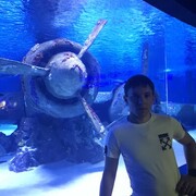 ���������� ���������, ���� ������� ����, 37 ���, ������������ ��� ������, ����� � ���������, ���������