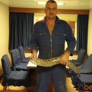  ,   , 53 ,     , c 