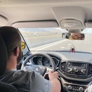 ���������� ���������, ���� ������� ������, 37 ���, ������������ ��� ������, ����� � ���������