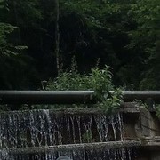  ,   , 46 ,   