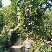 ���������� �������, ���� ������� ����, 47 ���, ������������ ��� ����� � ���������, c�������� ���������