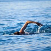 ���������� ��������, ���� ������� A�����, 40 ���, ������������ ��� ������, ����� � ���������, c�������� ���������, ���������