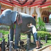 ���������� ����, ���� ������� ��������, 37 ���, ������������ ��� ����� � ���������, c�������� ���������