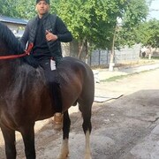 ���������� �������, ���� ������� �����, 28 ���, ������������ ��� ������, ����� � ���������