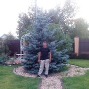 ���������� �����, ���� ������� ������, 43 ����, ������������ ��� ������, ����� � ���������, c�������� ���������