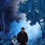 ���������� �����������, ���� ������� ���������, 45 ���, ������������ ��� ������, ����� � ���������