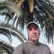  ,  , 43