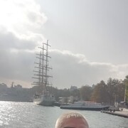 ���������� �����������, ���� ������� ���������, 46 ���, ������������ ��� ������, ����� � ���������, c�������� ���������