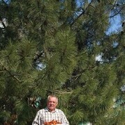 ���������� ����������, ���� ������� ���������, 67 ���, ������������ ��� ������, ����� � ���������