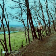 Plzen,   , 33 ,   ,   , c 
