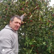 ���������� ������, ���� ������� �����, 53 ����, ������������ ��� ������, ����� � ���������