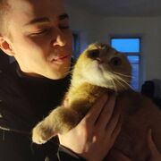 ���������� �����-���������, ���� ����� �����, 24 ����, ������������ ��� ������, ����� � ���������