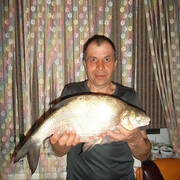 ���������� ������������, ���� ������� ��������, 60 ���, ������������ ��� c�������� ���������