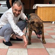 ���������� �����������, ���� ������� ����, 40 ���, ������������ ��� ������, c�������� ���������, ���������