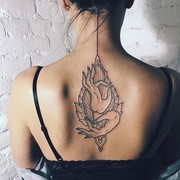  ,   , 26 ,  