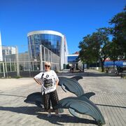  ,   , 55 ,   c 