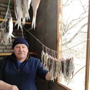 ���������� �������, ���� ������� ��������, 69 ���, ������������ ��� ������, ����� � ���������