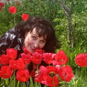 ���������� ����������, ���� ������� �������, 62 ����, ������������ ��� ����� � ���������, c�������� ���������