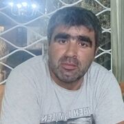 ���������� �����-���������, ���� ������� �������, 40 ���, ������������ ��� c�������� ���������