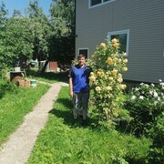 ���������� ������, ���� ������� �������, 44 ����, ������������ ��� ������, ����� � ���������