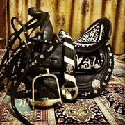 ���������� ������, ���� ������� ������, 41 ���, ������������ ��� ������, ����� � ���������