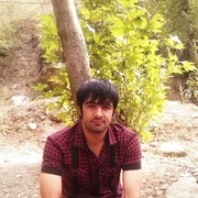  ,   Lion, 35 ,   ,   , c , 