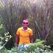  ,   , 41 ,   c 