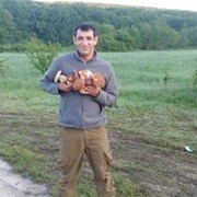  ,   , 37 ,   ,   , c 