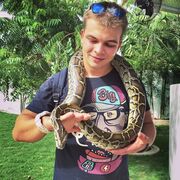 ���������� ������, ���� ������� �������, 37 ���, ������������ ��� ������, ����� � ���������