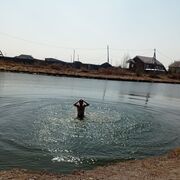 ���������� ������, ���� ������� �������, 36 ���, ������������ ��� ������, ����� � ���������